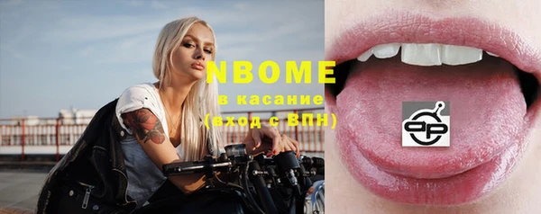 дживик Пересвет
