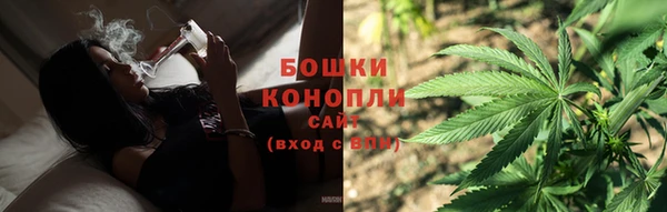 дживик Пересвет