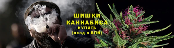 дживик Пересвет