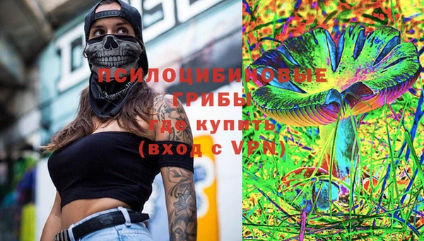 дживик Пересвет
