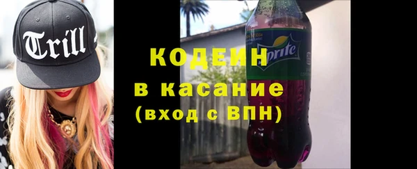 дживик Пересвет