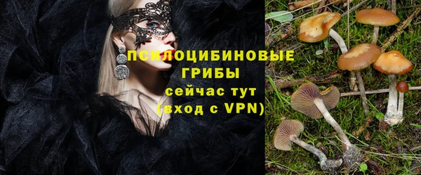 дживик Пересвет