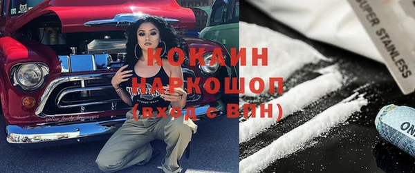 дживик Пересвет